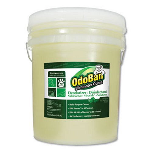 ODO BAN-ODOR ELIMINATOR AND 
DISINFECTANT, EUCALYPTUS, 
5/GAL