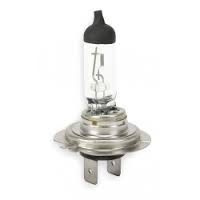 BULBS-#H7 24V 70W