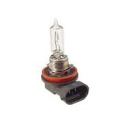 BULBS-#H9 (65WT)